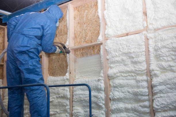 Trusted Humansville, MO Insulation Services Experts